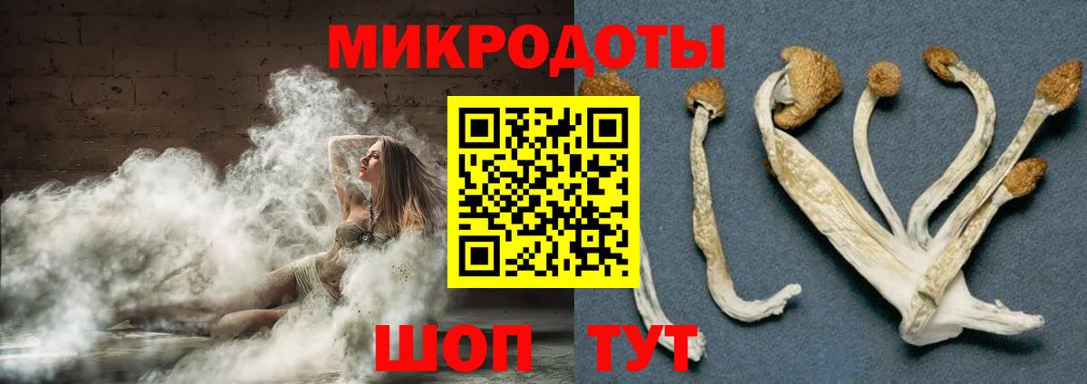 купить  сайты  Псилоцибиновые грибы MAGIC MUSHROOMS  Вход с VPN  Галлюциногенные грибы MAGIC MUSHROOMS  Казань 