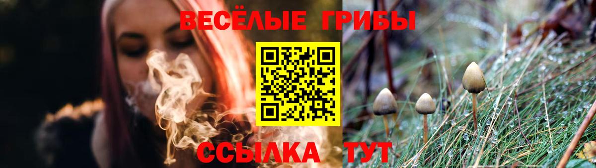 Псилоцибиновые грибы прущие грибы Казань